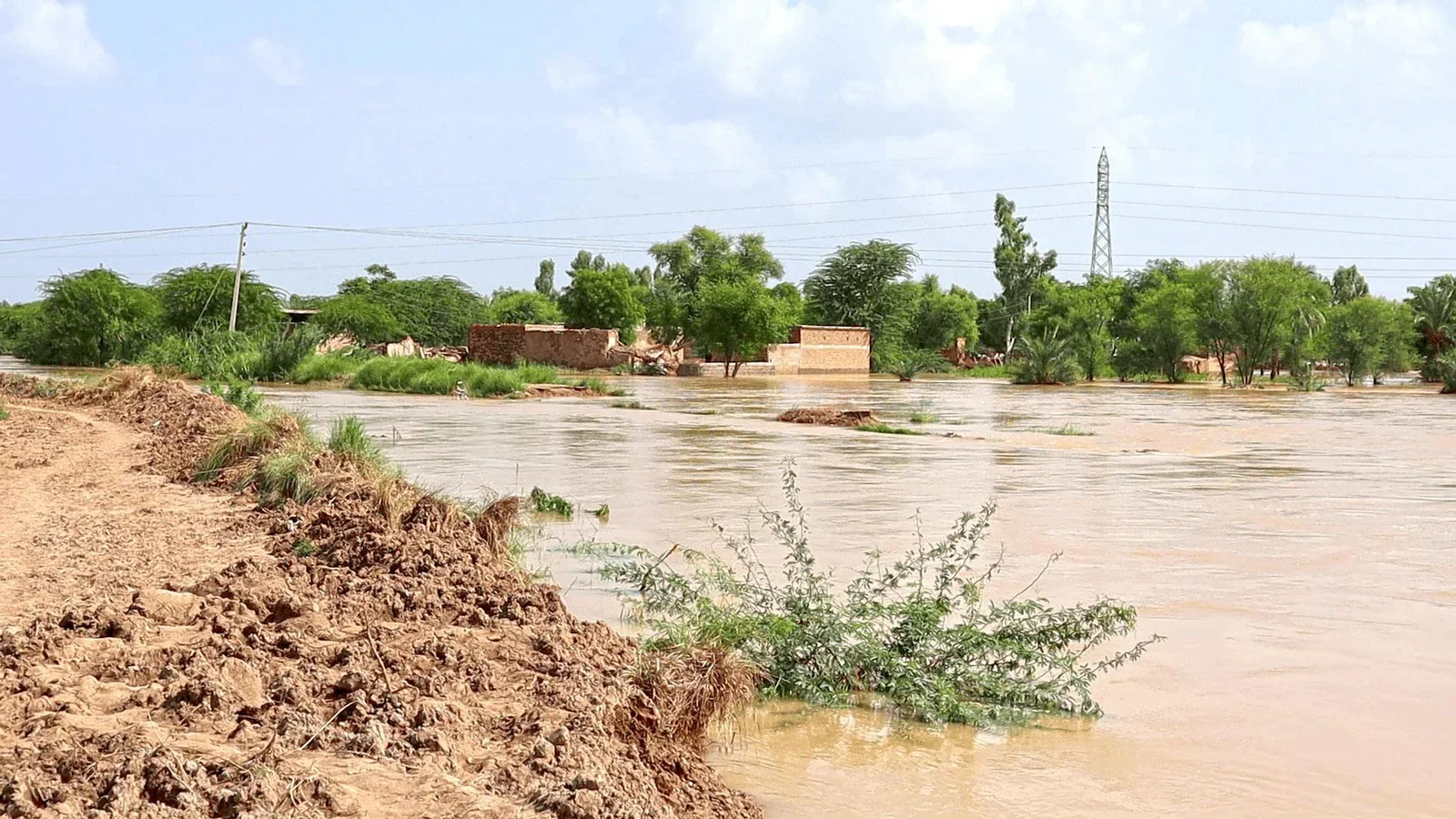 Breaking Data Silos: How Digital Transformation is Revolutionising Social Protection in Pakistan